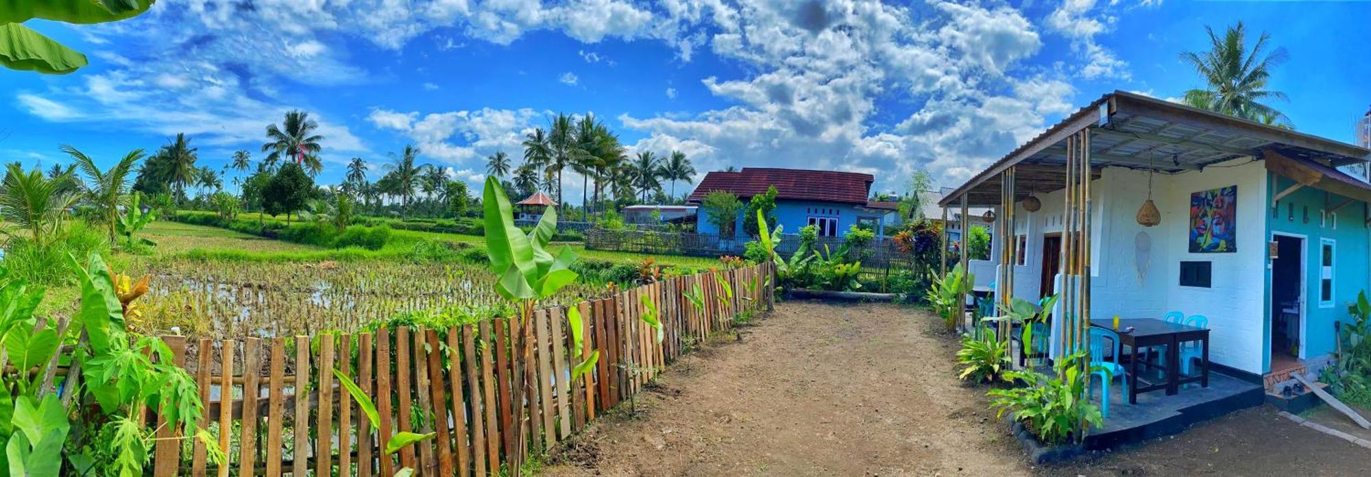 Alfarizi Homestay Tetebatu Kültér fotó