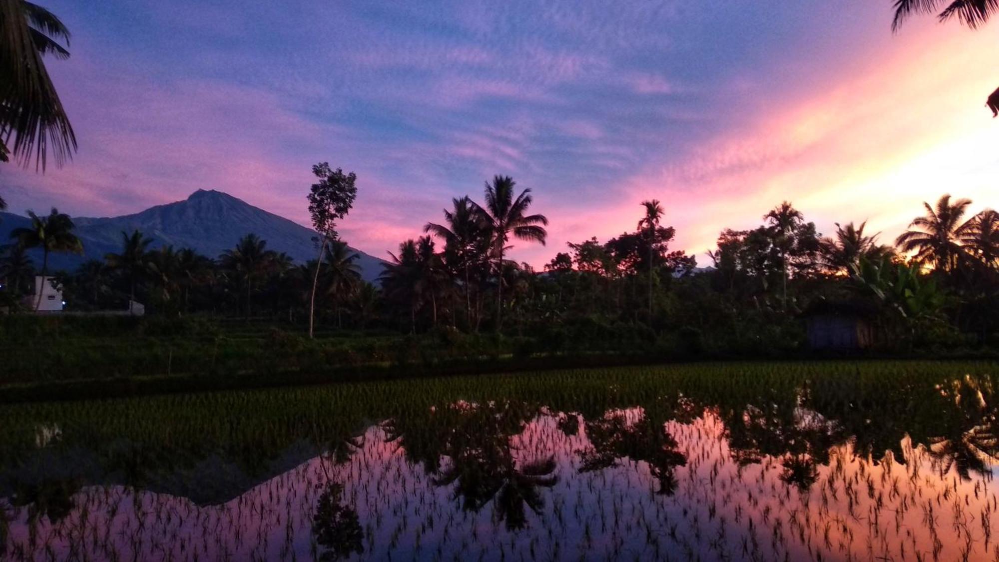 Alfarizi Homestay Tetebatu Kültér fotó
