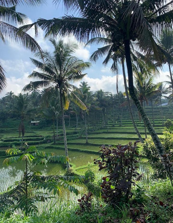 Alfarizi Homestay Tetebatu Kültér fotó