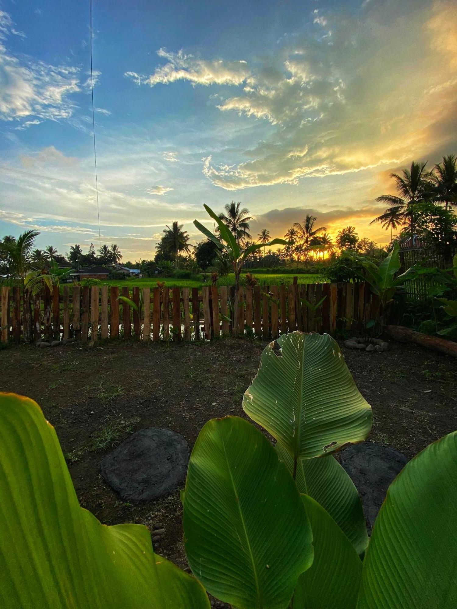 Alfarizi Homestay Tetebatu Kültér fotó